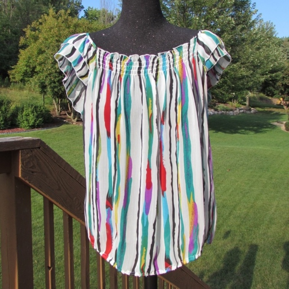 Zinc : Multi-Color Sheer Top